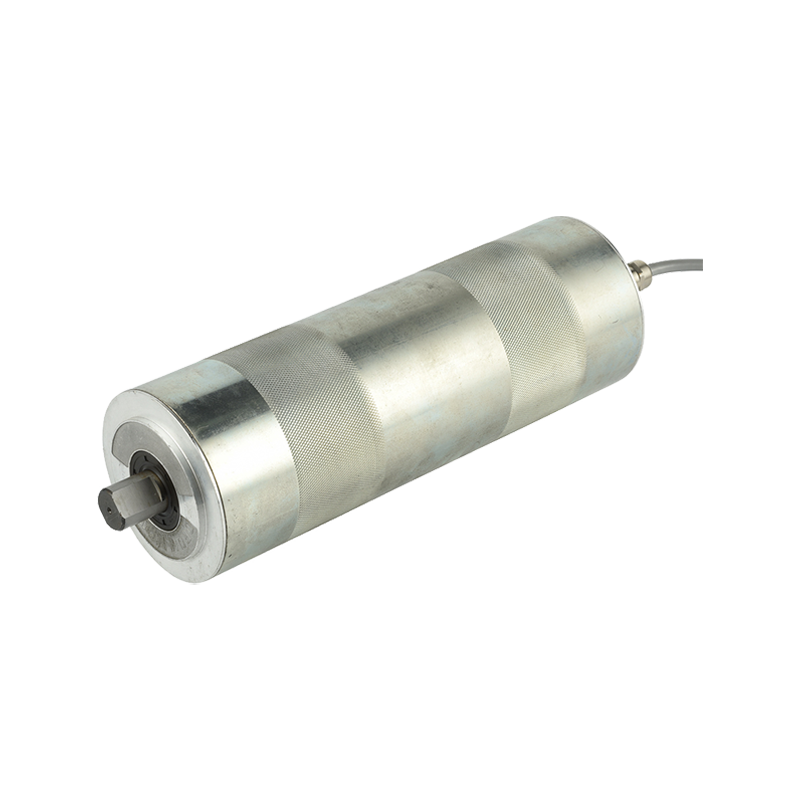 BL165 HIGH VOLTAGE BRUSHLESS DRUM MOTOR